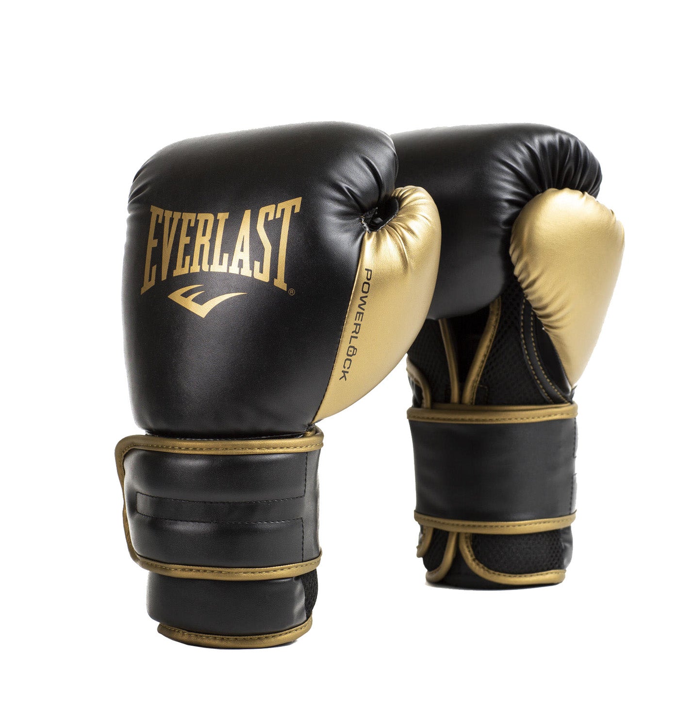 Powerlock2 Training Gloves 10oz