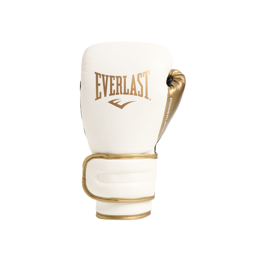 Powerlock2 Training Gloves 14oz