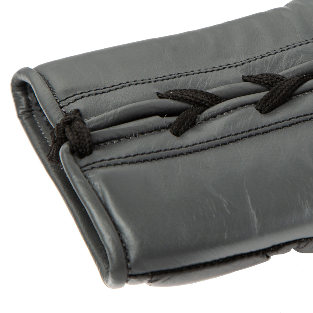 Pro Powerlock2 Fight Gloves