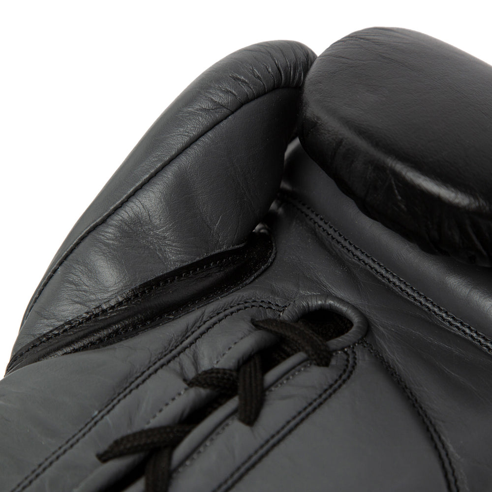 Pro Powerlock2 Fight Gloves