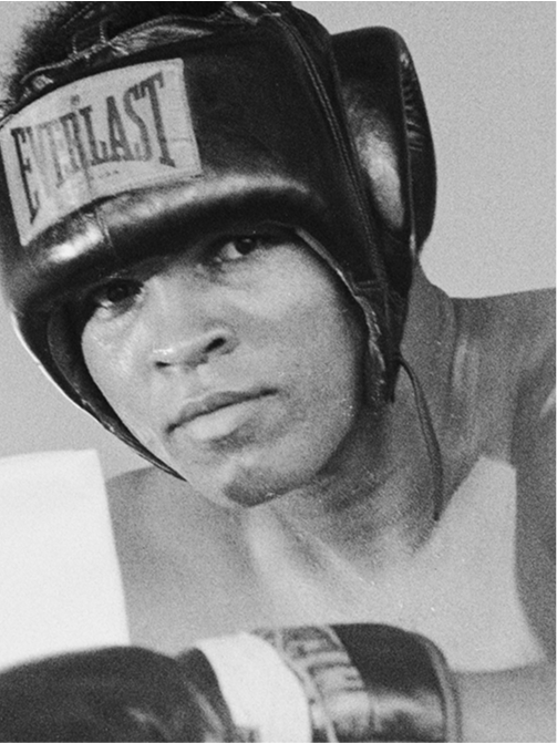 Everlast Australia Image