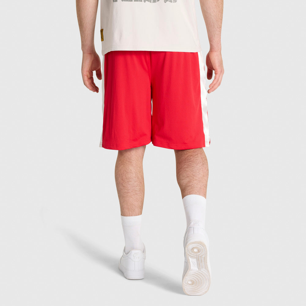Greatness Mesh Boxing Shorts