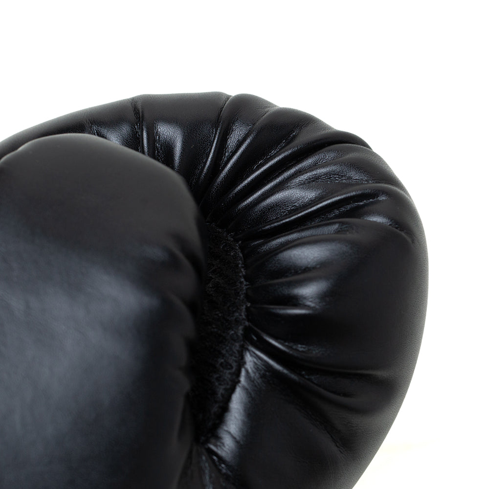 Pro Style2 Training Gloves 10oz