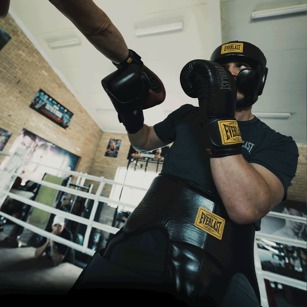 Everlast Australia Image