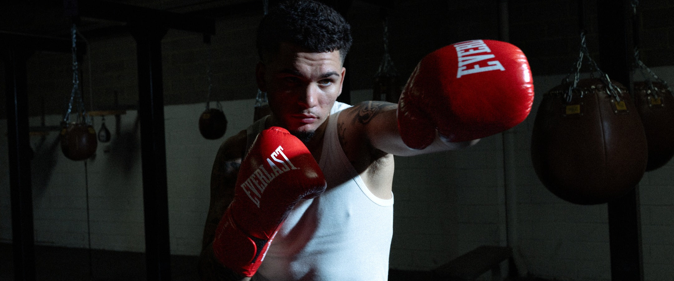 Everlast Australia Image