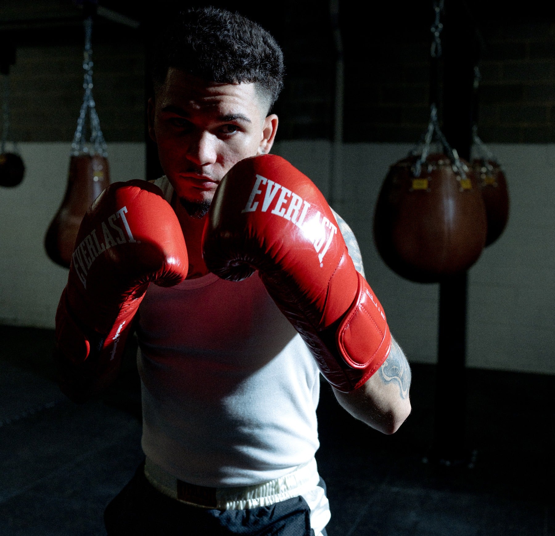 Everlast Australia Image