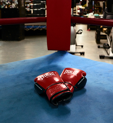 Everlast Australia Image