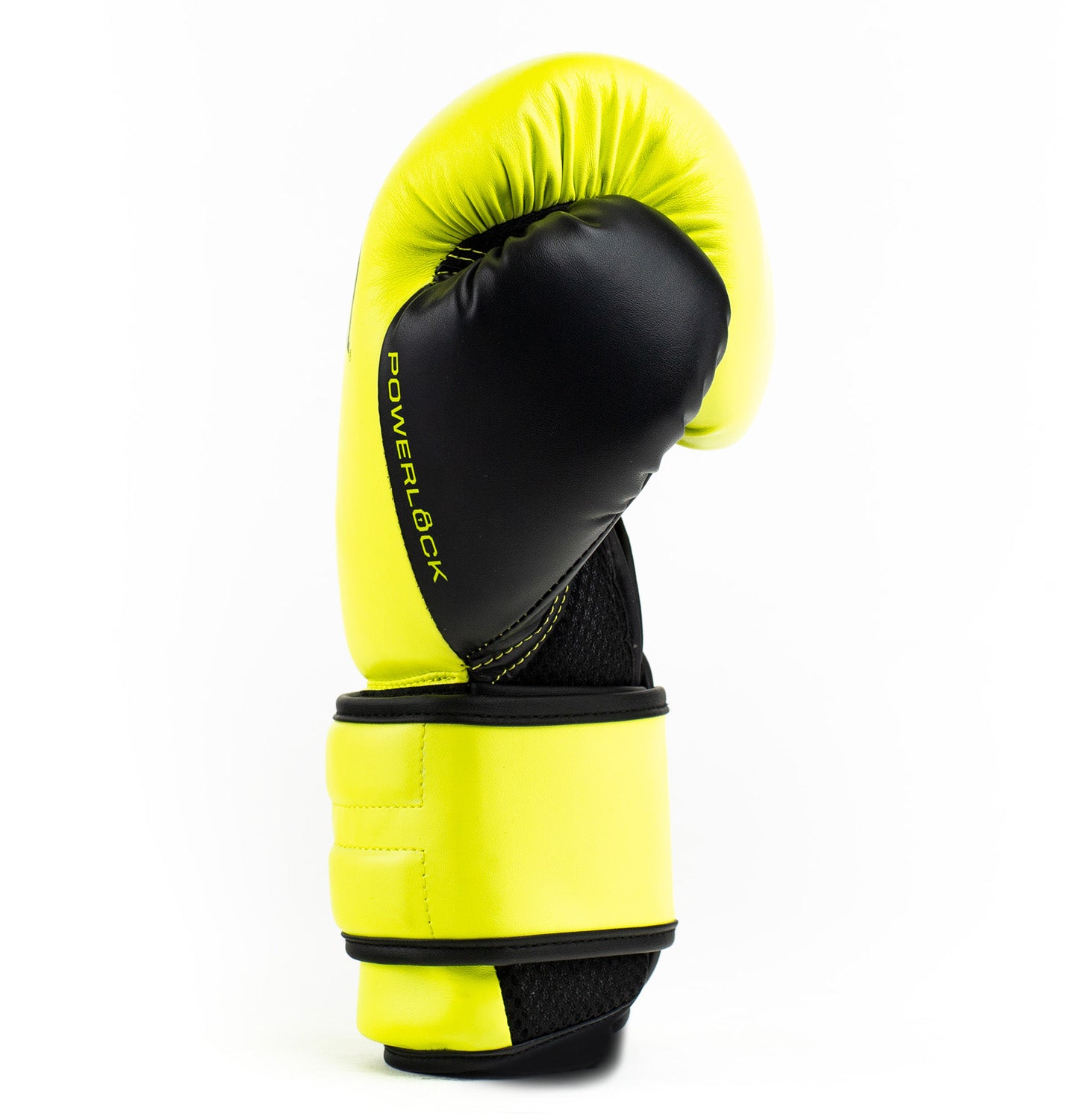 DWEQ141236_DWYEL_5_1